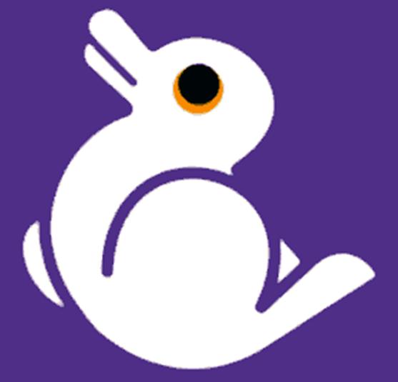 artist picture of rabbit or duck